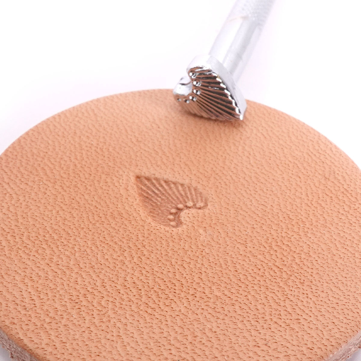 Stamping Tool - N301 Sunburst