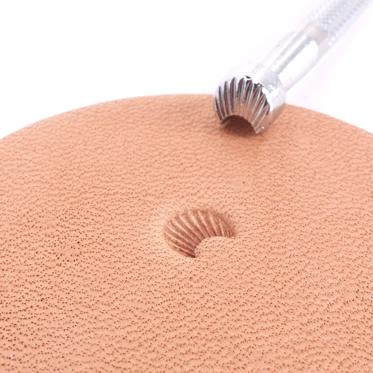 Stamping Tool - C425 Camouflage