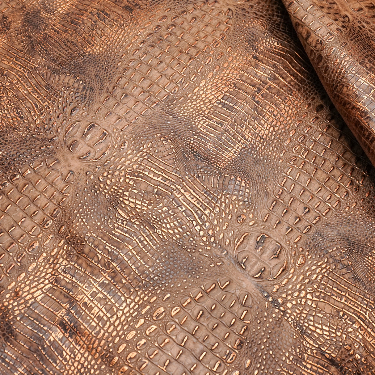 Italian Hornback Embossed Side - Mocha Copper