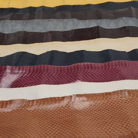 Whipsnake 5 Pack