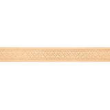 Embossed Belt Blanks