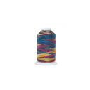1oz Bonded Nylon Machine Thread, Dustin Rainbow