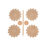 Daisy Flower Kit
