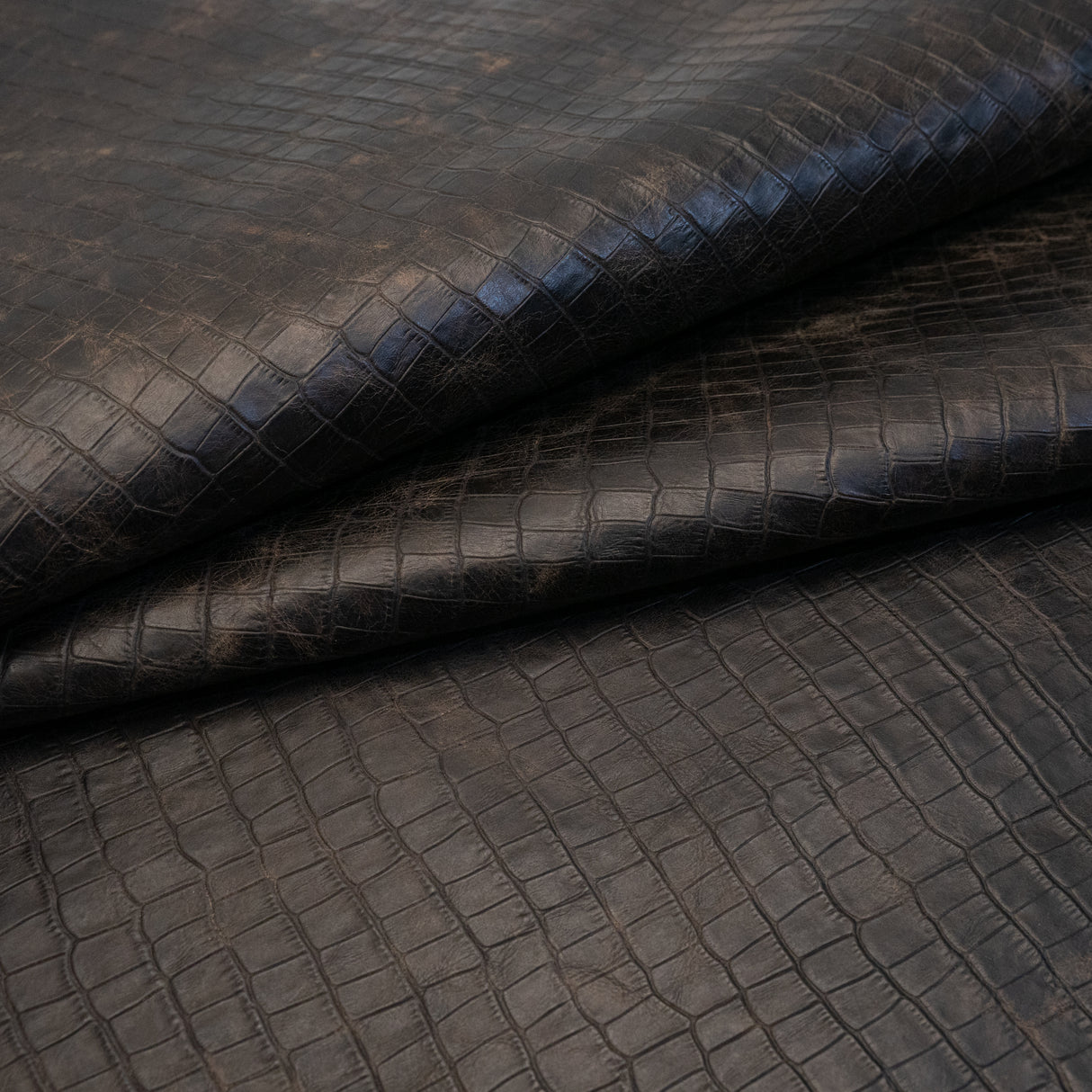 Gator Belly Embossed Cow