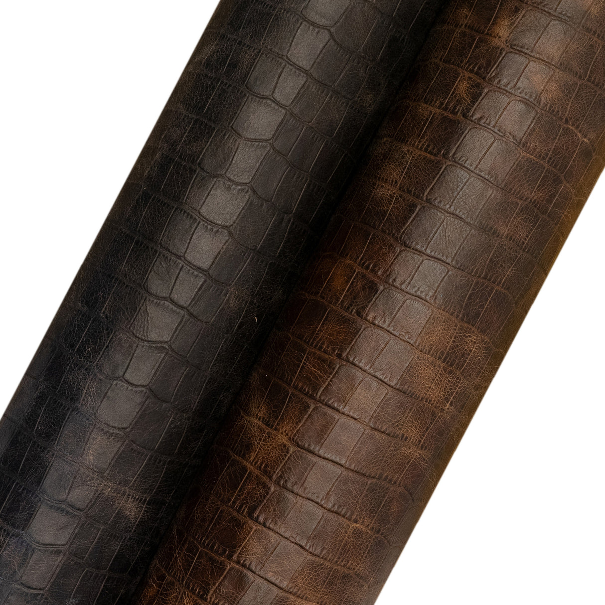 Gator Belly Embossed Cow