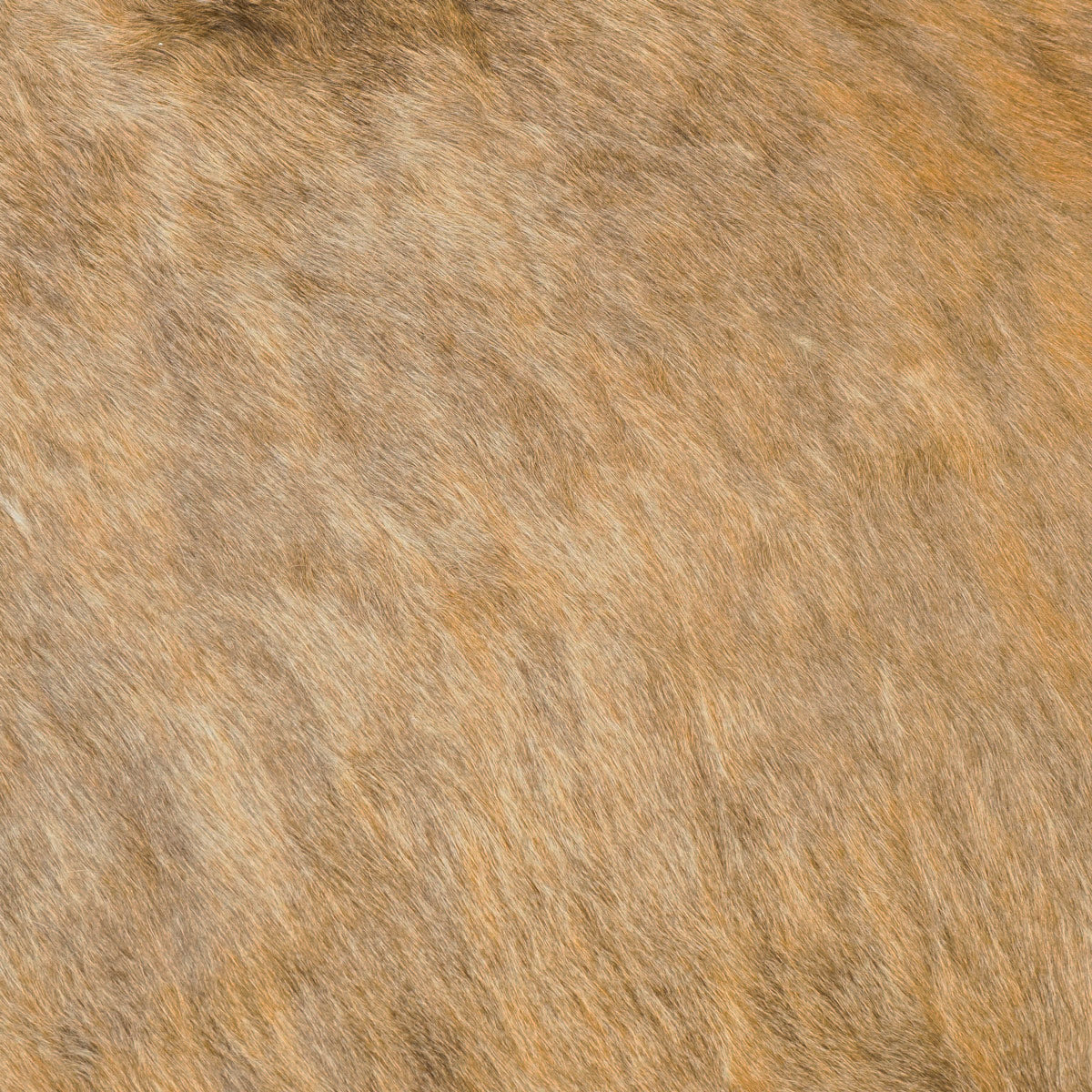 Hair-on Cowhide Pre-Cuts