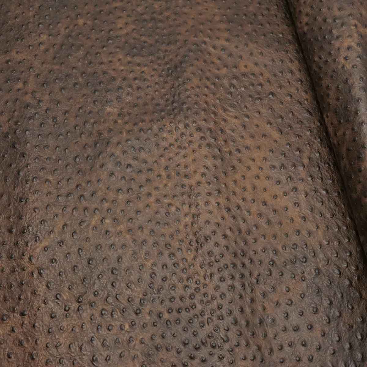 Ostrich Print on Cow