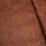 Ostrich Print on Cow