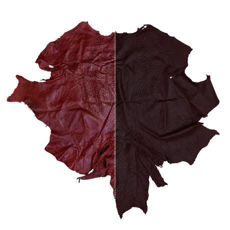 Ostrich Hides