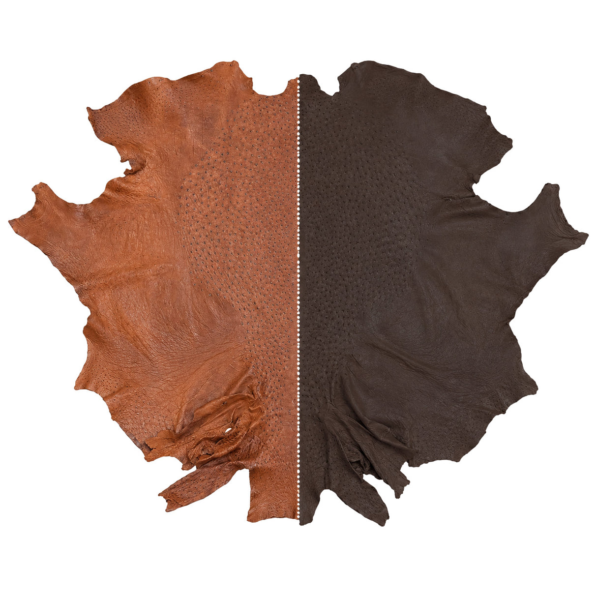 Ostrich Hides