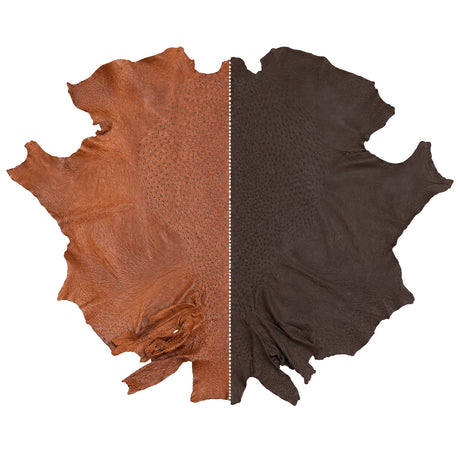 Ostrich Hides