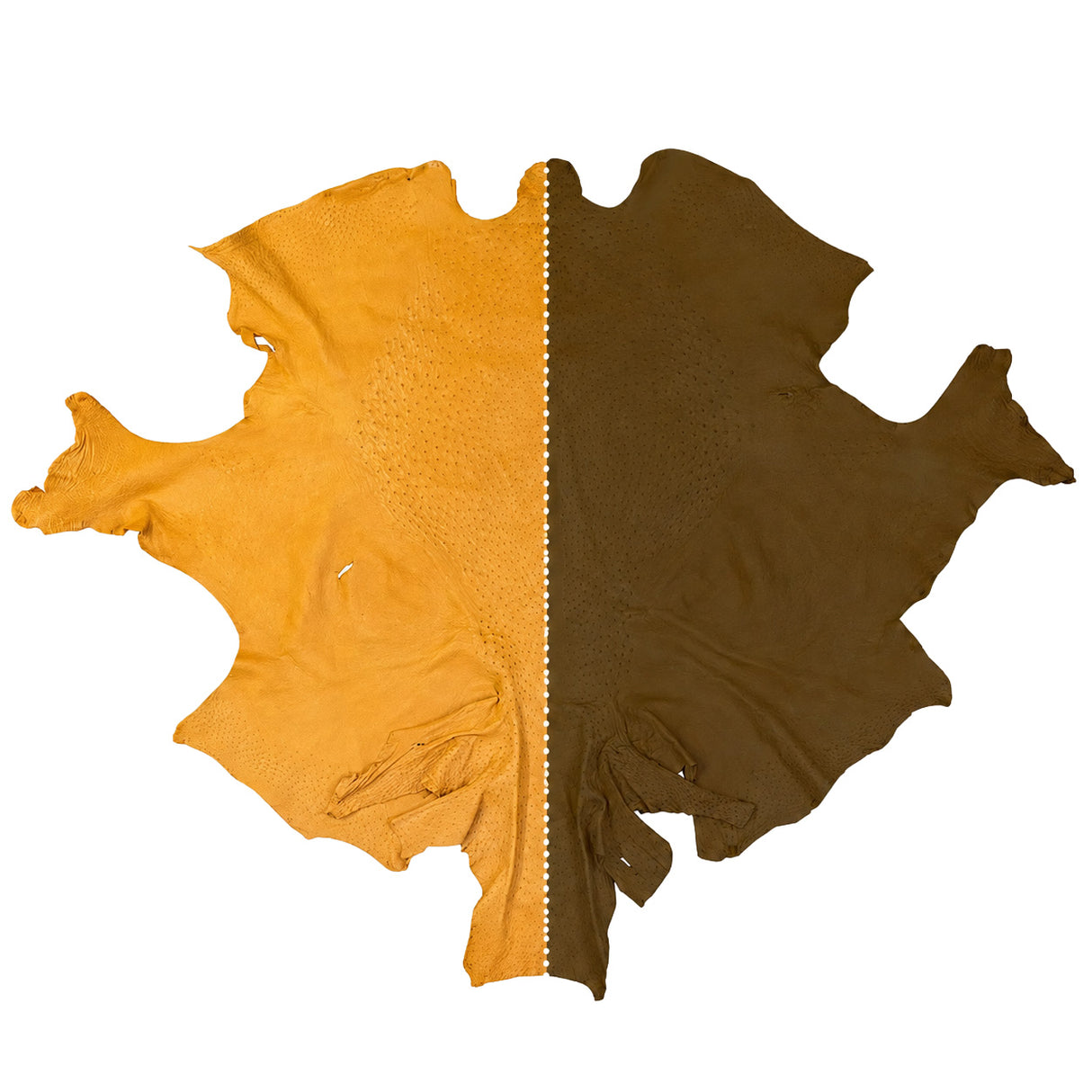 Ostrich Hides