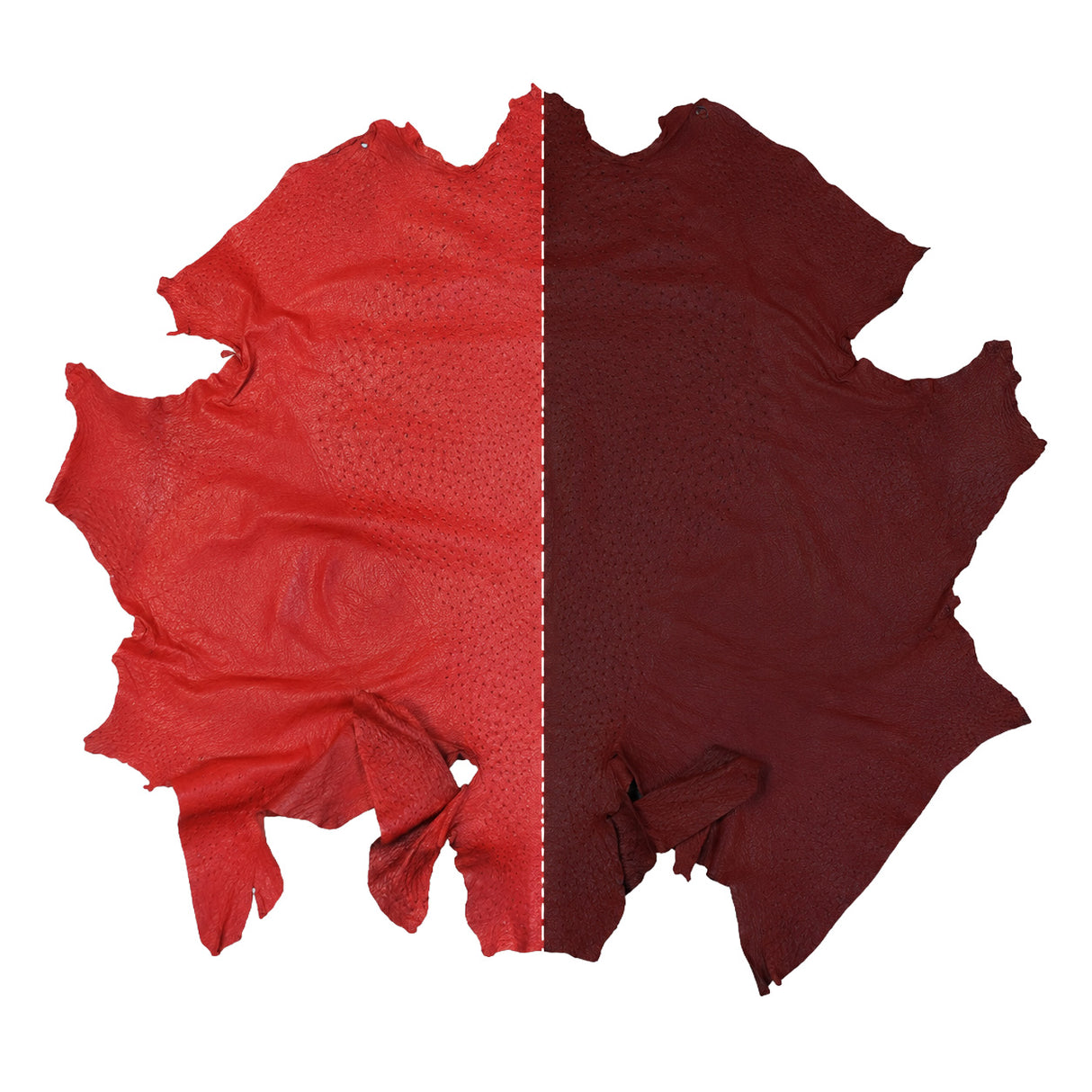 Ostrich Hides