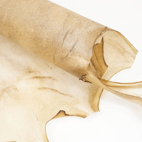 Goat Rawhide - Large, additional view 3