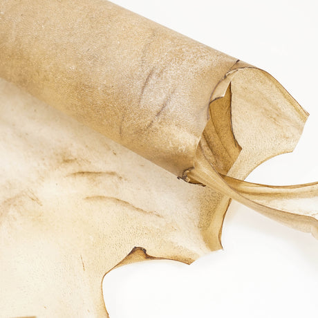 Goat Rawhide - Large, additional view 3