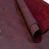Wild Boar Hides