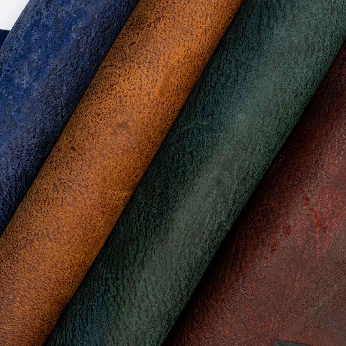 Wild Boar Hides