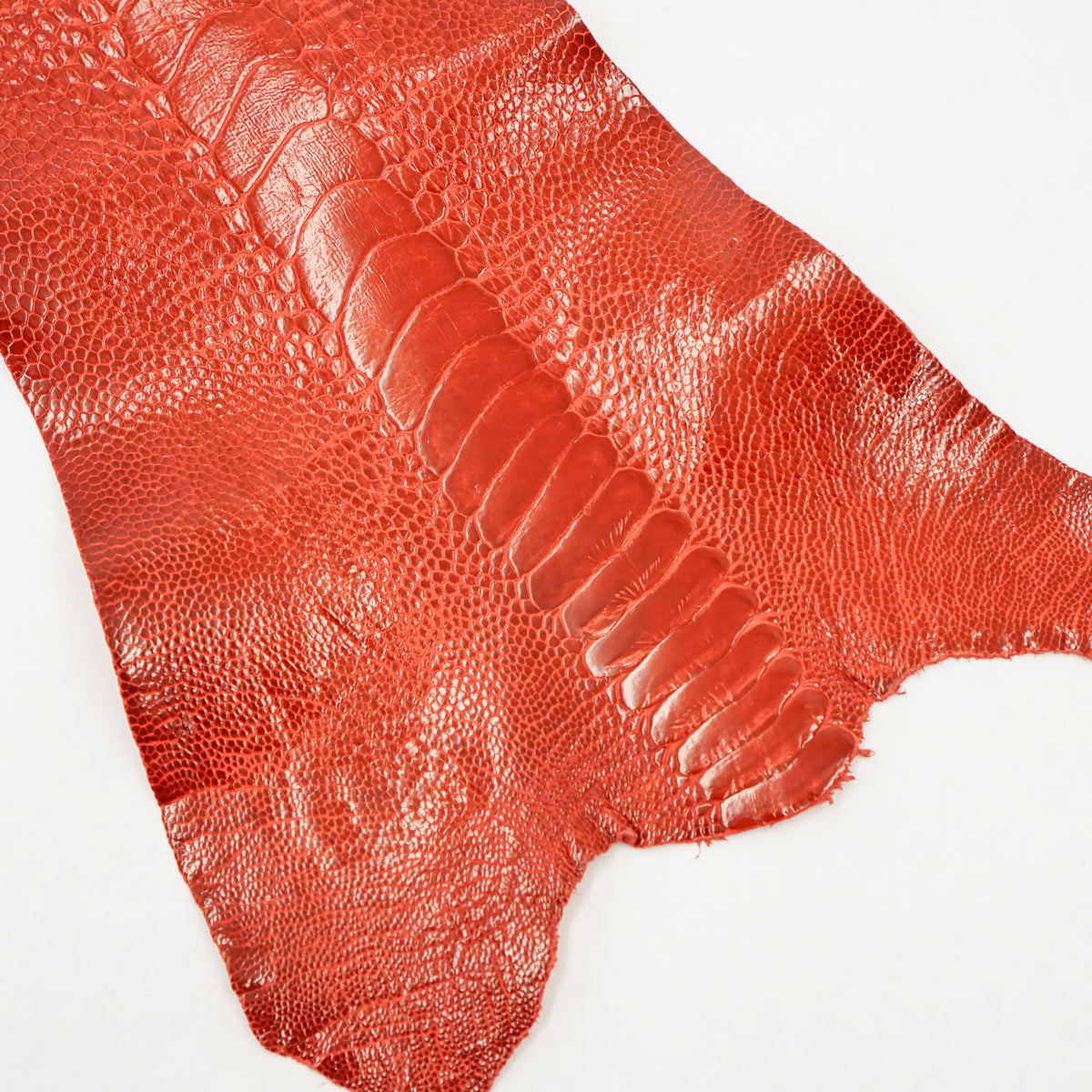 63-30512.SLC.1.jpg Ostrich Leg - Flame Red Image