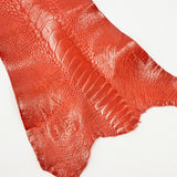 63-30512.SLC.1.jpg Ostrich Leg - Flame Red Image
