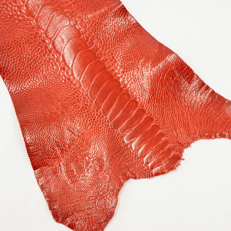 63-30512.SLC.1.jpg Ostrich Leg - Flame Red Image