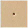 6631-00.SLC.jpg Stamping Tool - S631 Seeder Image