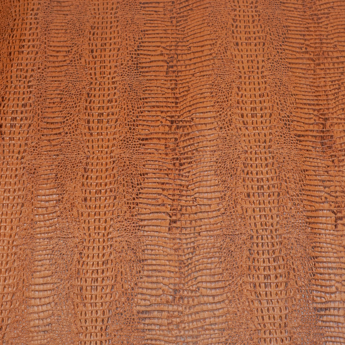 371-17903.SLC.3.jpg Embossed Gator on Cow - Cognac Image