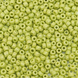 222-144011.SLC.1.jpg 10/0 Seed Beads - Light Green Glass 20g Image