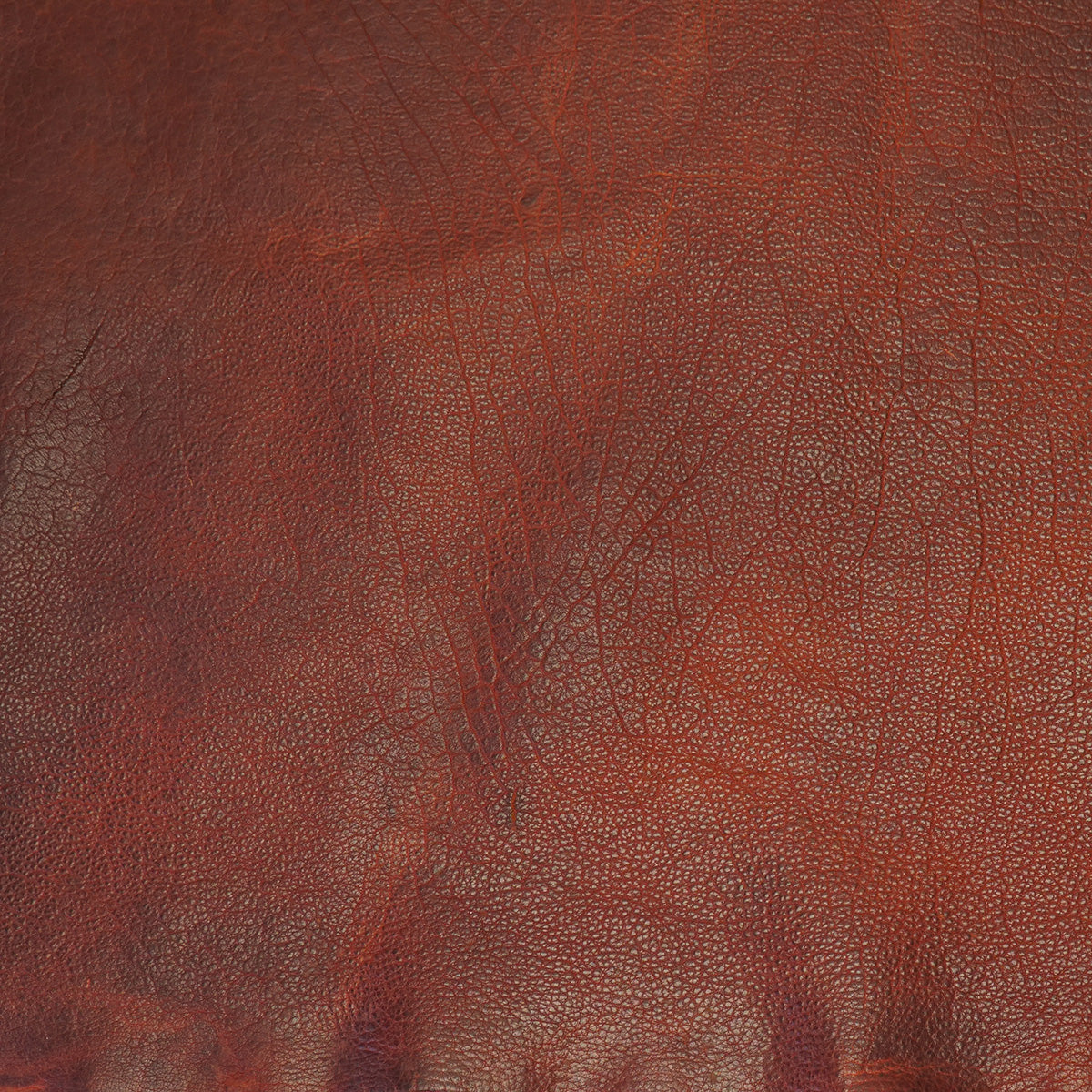 BIS.Whiskey.Shrunken.03.jpg Classic Bisonte Image