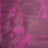SBFP.Razzledazzle.03.jpg SB Foot Poppy Sides Image