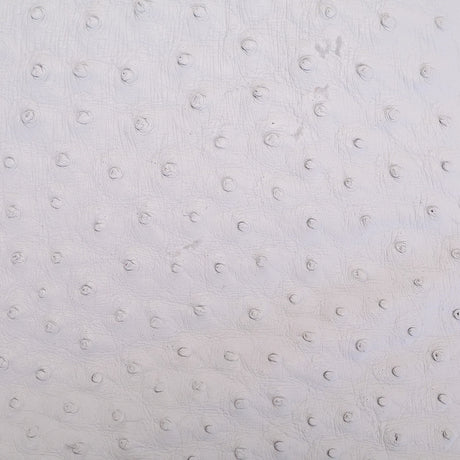 OSTH.Winter White.02.jpg Ostrich Hides Image