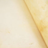 121-92103B.SLC.4.jpg Bleached Goat Rawhide - XL Image