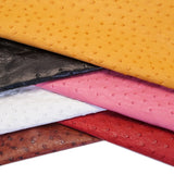 OSTH.SLC.default.jpg Ostrich Hides Image