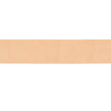 100-455834.SLC.1.jpg 1" x 48-60" #2 Veg Tan Belt Strip Image