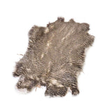 22-1150.SLC.01.jpg Striped Rabbit Skin Image