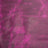 SBFP.Razzledazzle.03.jpg SB Foot Poppy Sides Image