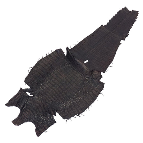 BCCS.Small.01.jpg Belly Cut Caiman Skins Image