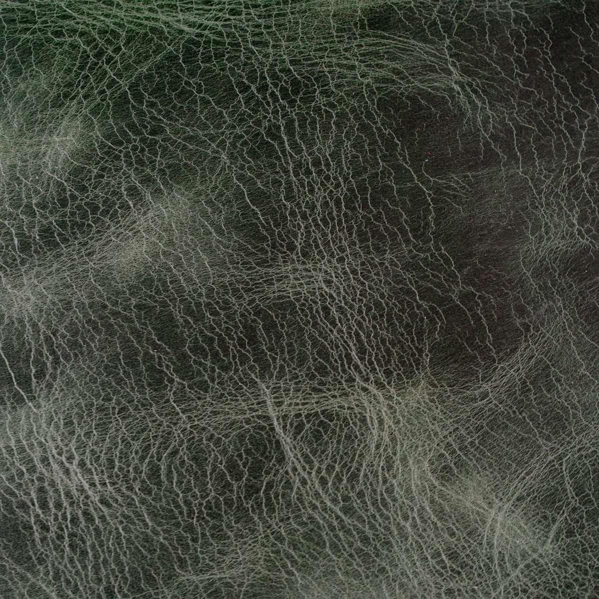 VENUP.Forest.02.jpg Venetian Upholstery Hide Image