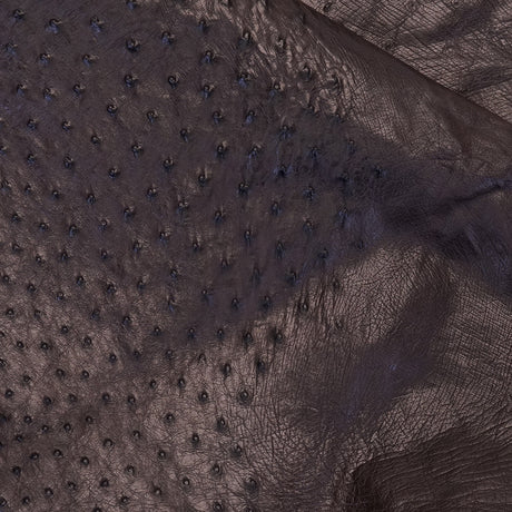 OSTH.Nicotine.02.jpg Ostrich Hides Image