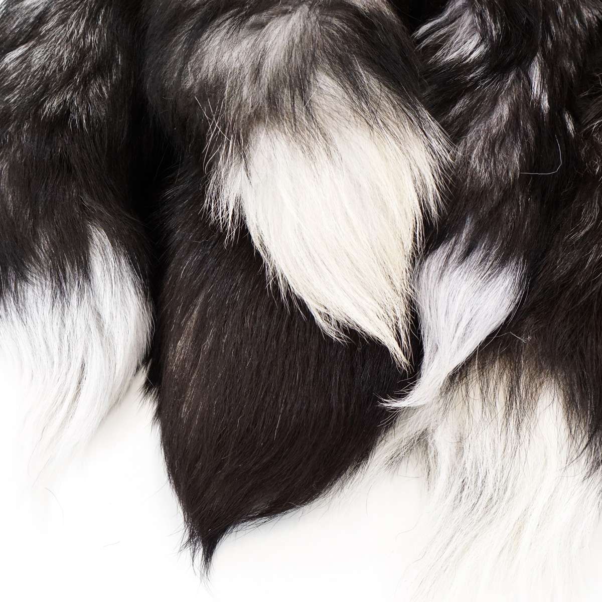 126-130104.SLC.1.jpg Silver Fox Tail Image