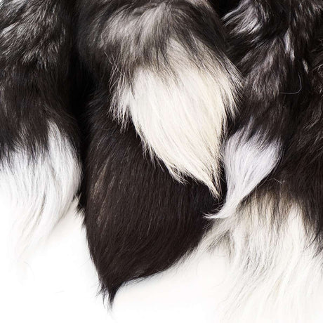 126-130104.SLC.1.jpg Silver Fox Tail Image