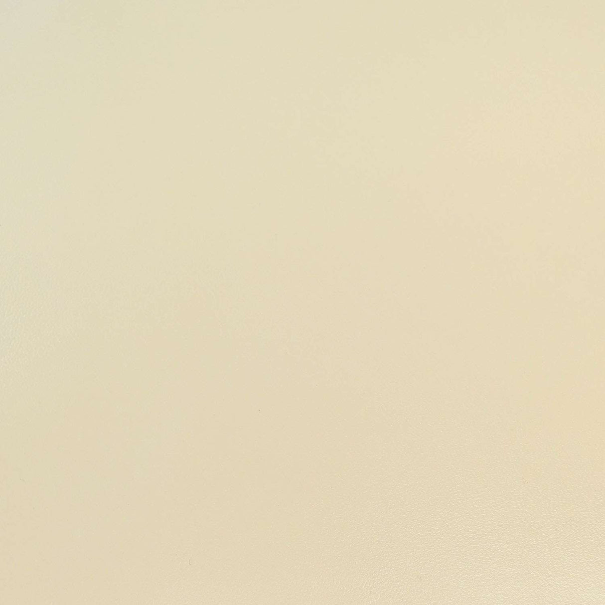 KDSKF.Bone.03.jpg Shrut & Asch Kidskins Image