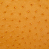 OSTH.Buttercup.02.jpg Ostrich Hides Image
