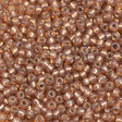 45-119641.SLC.1.jpg 11/0 Seed Beads - Bronze 24g Image