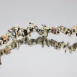 272-25.SLC.jpg Dalmation Jasper Stone Chips Image