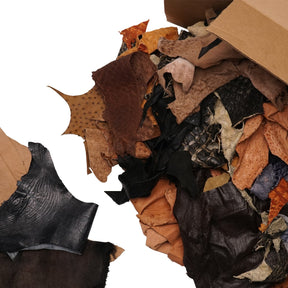 Fish, Fur, & Feathers Pieces Box