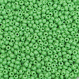 26-110208.SLC.1.jpg 11/0 Seed Beads - Opaque Light Green Image