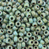 8/0 Seed Beads - Picasso Seafoam Green 22g