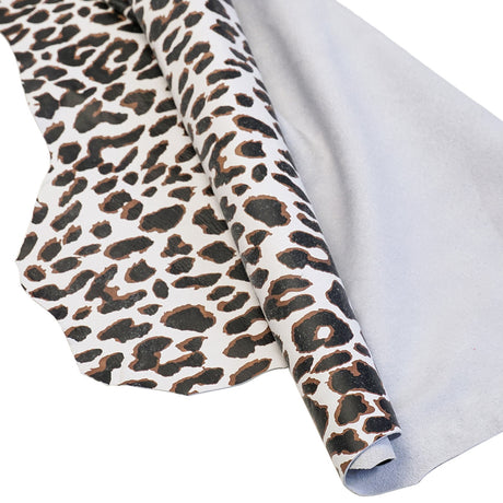 828-020.SLC.02.jpg Snow Leopard on Lamb Image