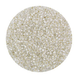 11/0 Seed Beads - Silver Lined Crystal AB 24g