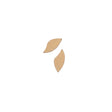100-1062.SLC.1.jpg One pair of  extra extra small Petal earrings Image